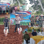 Sinergi Polri dan Pemda TTS Tanam Jagung: Langkah Nyata Menuju Ketahanan Pangan Nasional
