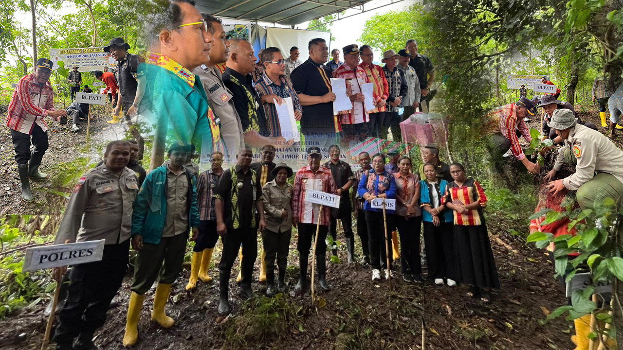 Kemitraan Pemda–GMIT Dorong Kopi sebagai Motor Ekonomi Rakyat TTS