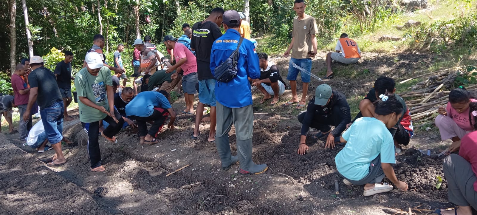 Dua Pekan Belajar di TTS, Petani Muda Flores Timur Siap Pimpin Transformasi Pertanian